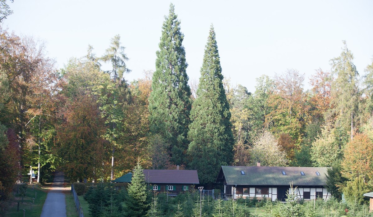 Zwei Gebäude im Wald, umgeben von hohen Bäumen und jungen Tannen. Ein Weg führt durch die herbstliche Landschaft., © Stadtmarketing Sindelfingen Zwei Gebäude im Wald, umgeben von hohen Bäumen und jungen Tannen. Ein Weg führt durch die herbstliche Landschaft., © Stadtmarketing Sindelfingen