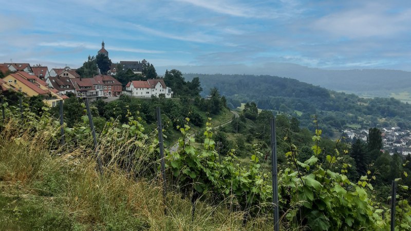 Blick auf Winnenden B&uuml;rg, &copy; Remstal Tourismus e.V.