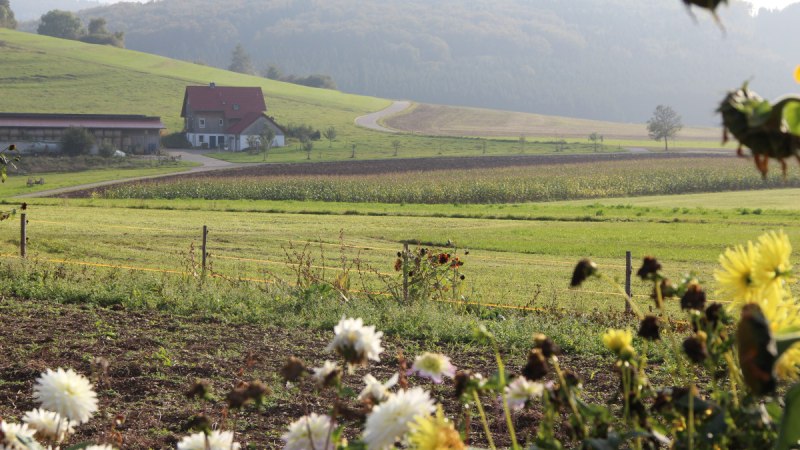 Ausblick auf die Wiesen und Felder, © Bad Urach Tourismus Ausblick auf die Wiesen und Felder, © Bad Urach Tourismus