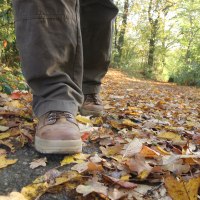 Nahaufnahme von Wanderschuhen auf einem mit bunten Herbstblättern bedeckten Waldweg. Die Umgebung ist grün und herbstlich., © Stadt Schorndorf