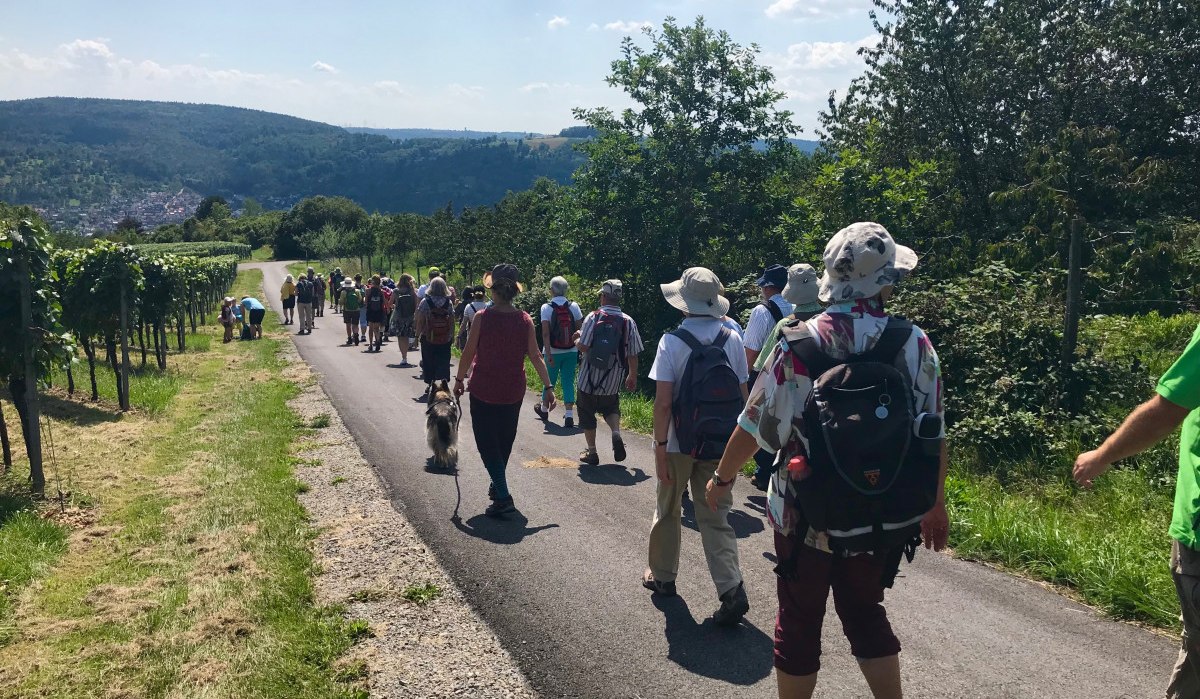 Pilgergruppe wandert auf einem Weg durch grüne Landschaft mit Blick auf den Schurwald im Hintergrund., © Ev. Kirchenbezirk Schorndorf