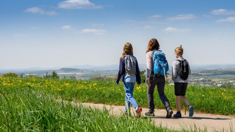 Drei Personen wandern auf einem Weg durch eine grüne Wiese mit gelben Blumen, im Hintergrund eine weite Landschaft unter blauem Himmel., © Stadtverwaltung Winnenden