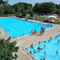 Zwei Schwimmbecken im Waldfreibad Holzgerlingen, umgeben von Bäumen und Liegewiesen. Viele Menschen schwimmen und entspannen sich in der Sonne., © Stadt Holzgerlingen