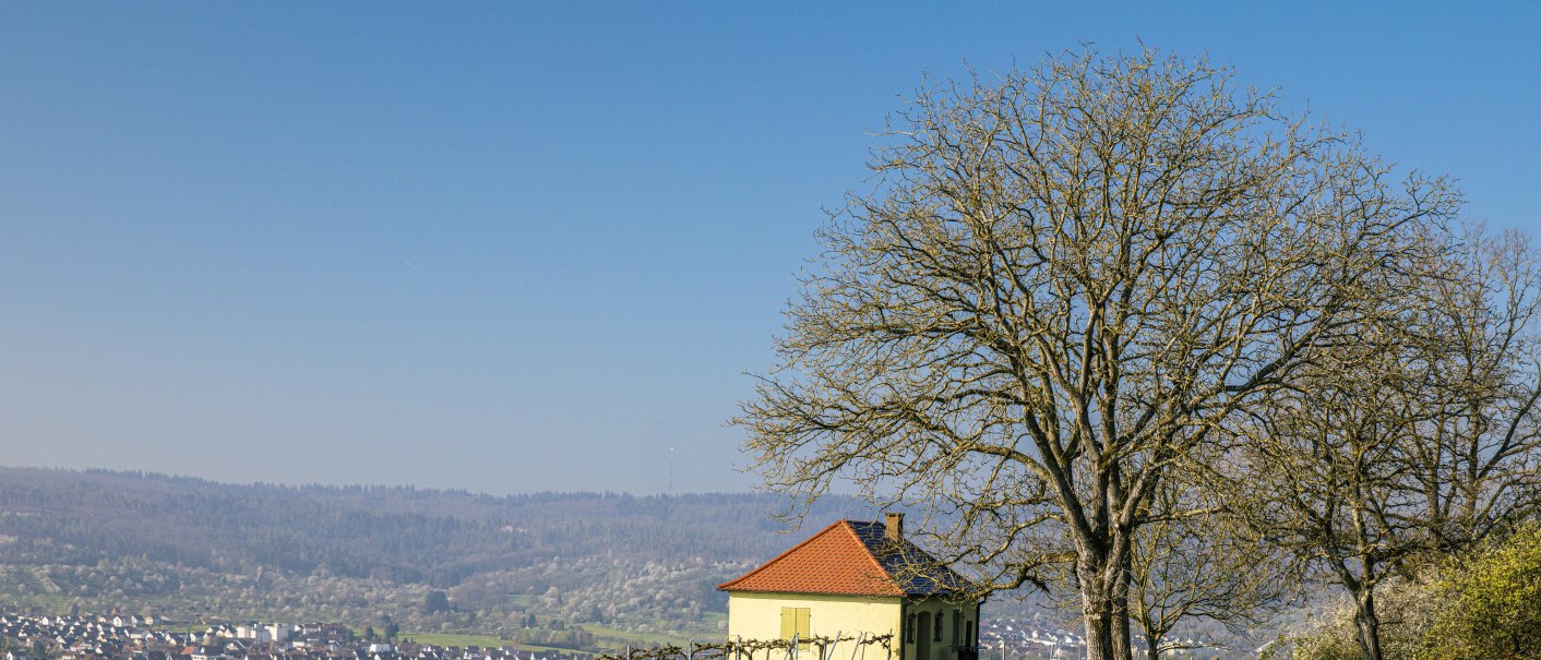 Kleines Haus und Bäume auf einem Hügel mit Blick auf Schorndorf. Weinreben im Vordergrund, Stadt und bewaldete Hügel im Hintergrund unter klarem Himmel., © SMG, Sarah Schmid