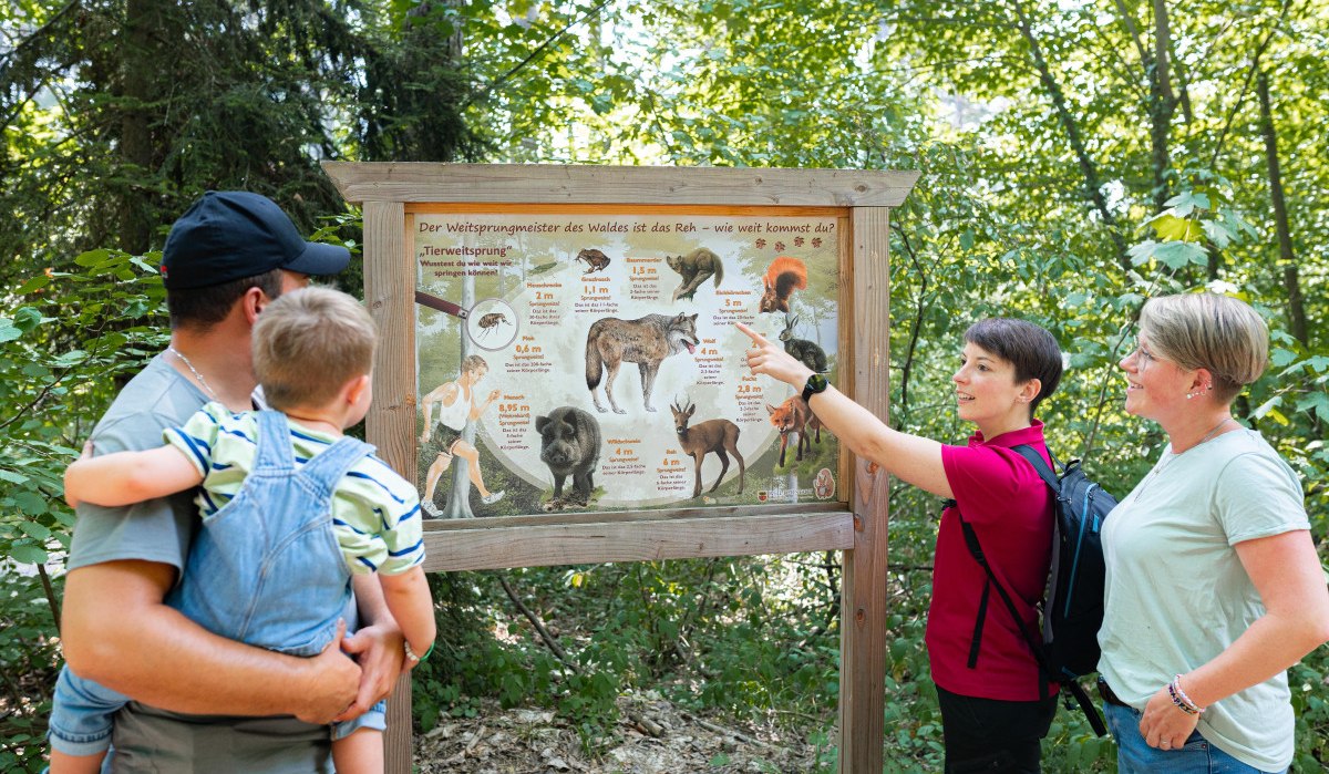 Eine Familie mit einem Kind betrachtet ein Informationsschild im Wald, das die Sprungweiten verschiedener Tiere erkl&auml;rt. Eine Frau zeigt auf das Schild.