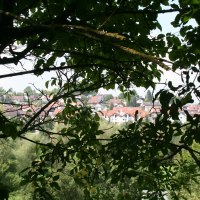 Blick durch dichte Baumzweige auf eine Stadt mit roten Dächern im Hintergrund., © Natur.Nah. Schönbuch & Heckengäu Blick durch dichte Baumzweige auf eine Stadt mit roten Dächern im Hintergrund., © Natur.Nah. Schönbuch & Heckengäu