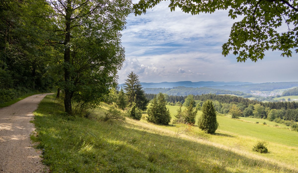 Ein Waldweg führt durch eine grüne Landschaft mit Bäumen und Hügeln. Der Himmel ist blau mit einigen Wolken., © Foto Thomas Zehnder