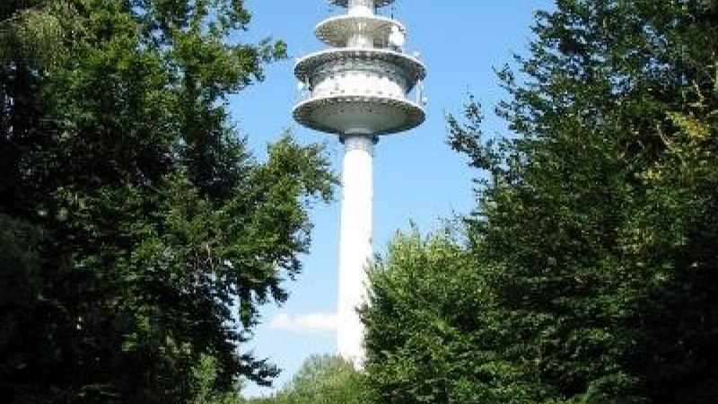 Ein Fernsehturm ragt über einen Waldweg, umgeben von Bäumen, in den blauen Himmel., © Natur.Nah. Schönbuch & Heckengäu Ein Fernsehturm ragt über einen Waldweg, umgeben von Bäumen, in den blauen Himmel., © Natur.Nah. Schönbuch & Heckengäu