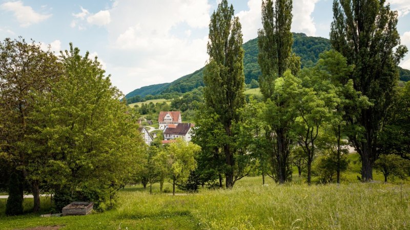 Gr&uuml;ne Wiese mit B&auml;umen im Vordergrund, dahinter ein Dorf mit Fachwerkh&auml;usern und ein bewaldeter H&uuml;gel unter blauem Himmel., &copy; hochgehberge