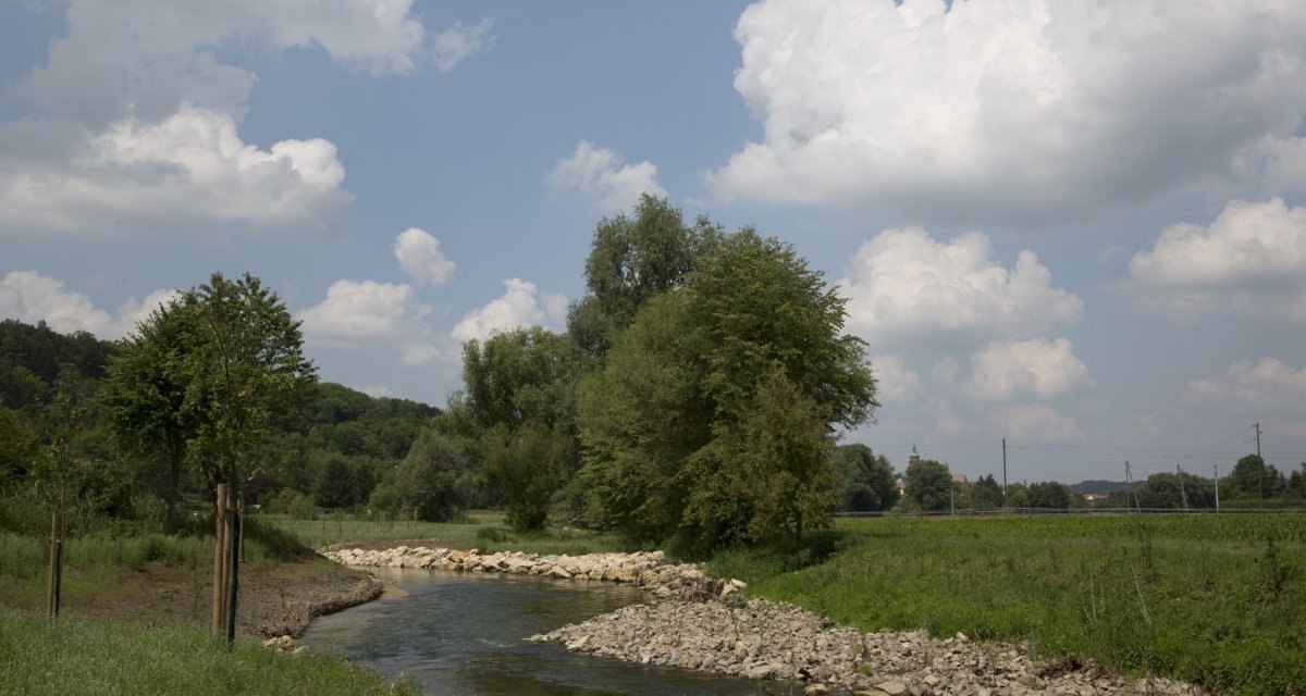 Ein kleiner Fluss schl&auml;ngelt sich durch eine gr&uuml;ne Landschaft mit B&auml;umen und Wiesen. Der Himmel ist bew&ouml;lkt, was eine ruhige Atmosph&auml;re schafft., &copy; Natur.Nah. Sch&ouml;nbuch & Heckeng&auml;u
