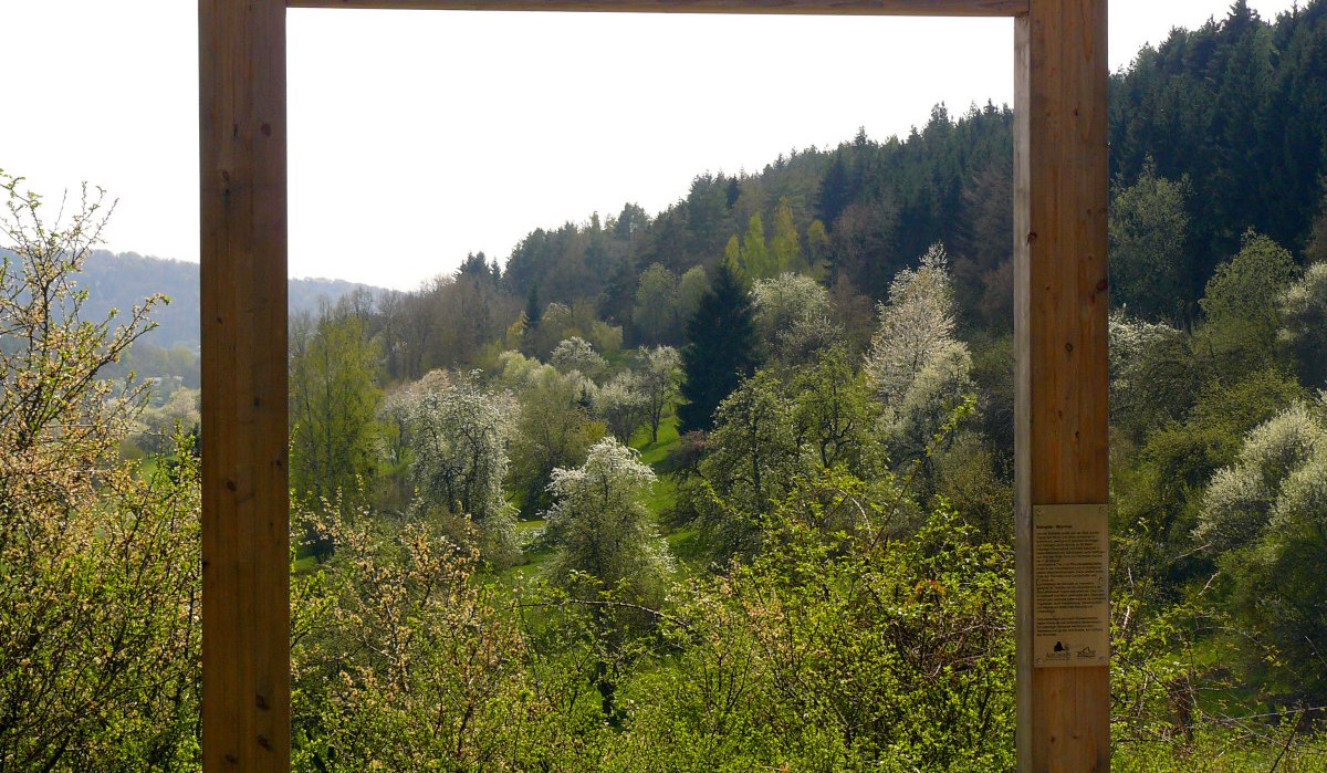 Ein Holzrahmen steht vor einer grünen, bewaldeten Landschaft am Venusberg. Blühende Bäume und Hügel sind im Hintergrund sichtbar., © Natur.Nah. Schönbuch & Heckengäu