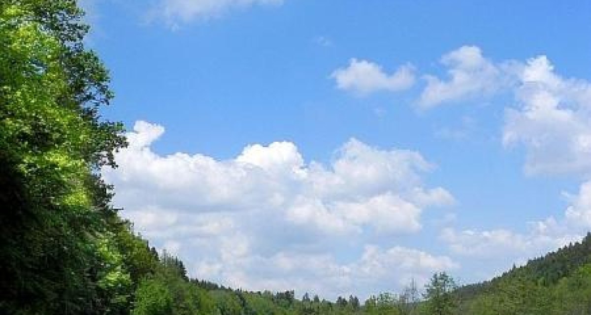 Ein Radfahrer auf einem schmalen Weg durch eine grüne Landschaft mit Wiesen und Bäumen unter einem blauen Himmel mit weißen Wolken., © Natur.Nah. Schönbuch & Heckengäu Ein Radfahrer auf einem schmalen Weg durch eine grüne Landschaft mit Wiesen und Bäumen unter einem blauen Himmel mit weißen Wolken., © Natur.Nah. Schönbuch & Heckengäu