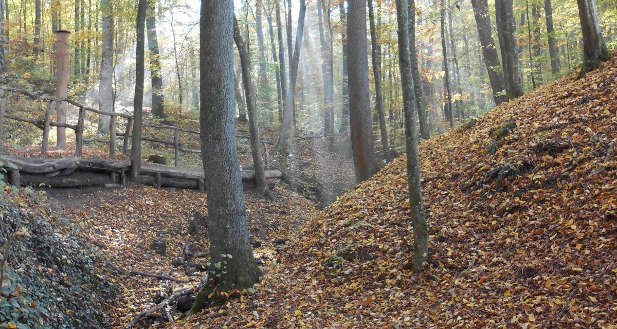 Herbstlicher Wald im Aichenbachtal mit Sonnenstrahlen, die durch die Bäume scheinen. Ein kleiner Bach fließt durch das Laub. Herbstlicher Wald im Aichenbachtal mit Sonnenstrahlen, die durch die Bäume scheinen. Ein kleiner Bach fließt durch das Laub.