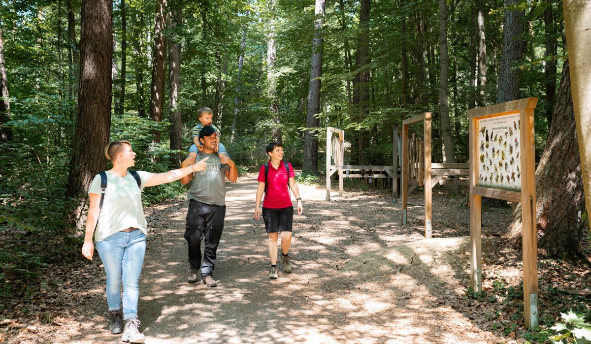 Familienausflug im Wald: Vier Personen, darunter ein Kind auf den Schultern, spazieren auf einem Waldweg mit Informationstafeln., © Stadtmarketing Weil der Stadt Familienausflug im Wald: Vier Personen, darunter ein Kind auf den Schultern, spazieren auf einem Waldweg mit Informationstafeln., © Stadtmarketing Weil der Stadt