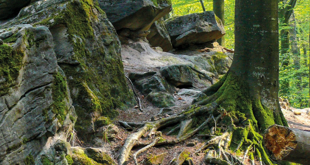 Feenspuren | Premiumspazierwanderweg Felsenmeer - Premiumwanderweg mit Start in Murrhardt, © SWT - Jan Bürgermeister