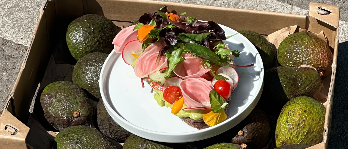 Ein belegtes Brot mit Gem&uuml;se und Salat auf einem Teller, umgeben von Avocados in einer Kiste., &copy; Kaleya, Stuttgart