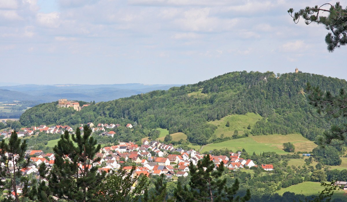 Blick auf die Ruine Rechberg auf einem bewaldeten Hügel, umgeben von einem Dorf mit roten Dächern und grünen Feldern., © Foto: Frieder Kopper