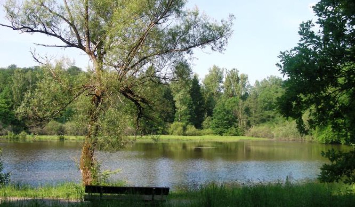 Ein ruhiger See mit einem Baum am Ufer, umgeben von üppigem Grün und Wald im Hintergrund., © Sindelfingen - Stuttgart-Marketing GmbH Ein ruhiger See mit einem Baum am Ufer, umgeben von üppigem Grün und Wald im Hintergrund., © Sindelfingen - Stuttgart-Marketing GmbH