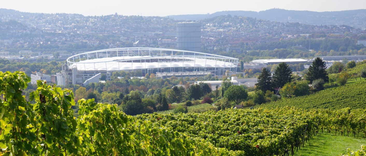 Weinberge im Vordergrund, dahinter ein großes Stadion und die Stadt Stuttgart. Im Hintergrund sind Hügel und Gebäude zu sehen., © BURKHARDT HELLWIG