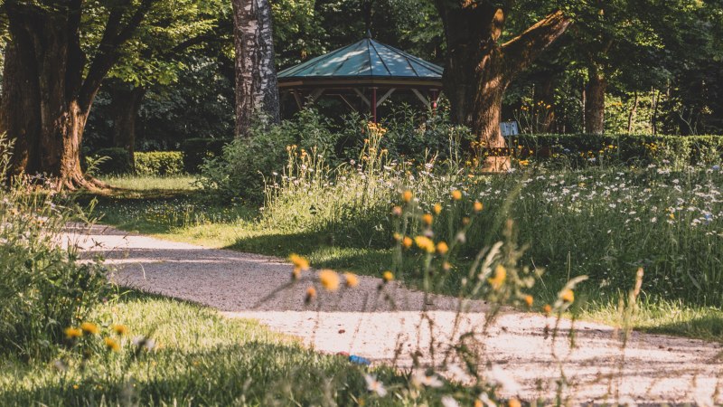 Ein sonniger Parkweg führt durch eine Wiese mit gelben Blumen, umgeben von Bäumen. Im Hintergrund ist ein Pavillon zu sehen., © Stadt Welzheim