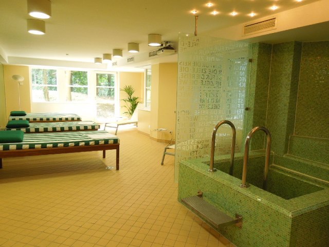 Wellnessbereich mit Liegen, kleinem Pool und großen Fenstern. Entspannende Atmosphäre mit grünen Fliesen und natürlichem Licht., © relexa Waldhotel Schatten Wellnessbereich mit Liegen, kleinem Pool und großen Fenstern. Entspannende Atmosphäre mit grünen Fliesen und natürlichem Licht., © relexa Waldhotel Schatten