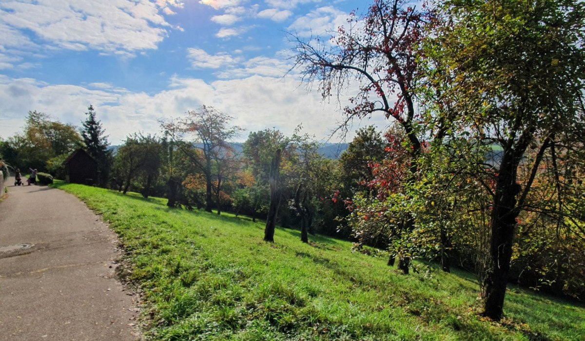Ein sonniger Herbsttag mit blauem Himmel, Bäumen mit buntem Laub und einem Weg, der durch die Landschaft führt., © Kulturamt PLochingen Ein sonniger Herbsttag mit blauem Himmel, Bäumen mit buntem Laub und einem Weg, der durch die Landschaft führt., © Kulturamt PLochingen