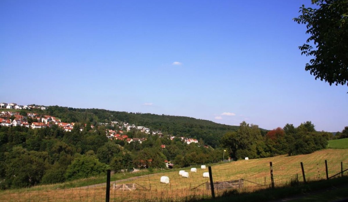 Hügelige Landschaft mit einem Dorf im Hintergrund, umgeben von Bäumen. Im Vordergrund ein Feld mit Heuballen unter blauem Himmel., © Natur.Nah. Schönbuch & Heckengäu Hügelige Landschaft mit einem Dorf im Hintergrund, umgeben von Bäumen. Im Vordergrund ein Feld mit Heuballen unter blauem Himmel., © Natur.Nah. Schönbuch & Heckengäu