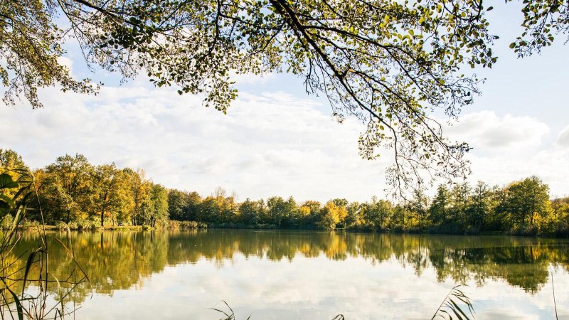 Ein idyllischer See umgeben von herbstlichen B&auml;umen unter einem klaren Himmel. Die Wasseroberfl&auml;che spiegelt die Landschaft wider., &copy; Stuttgart-Marketing GmbH, Sarah Schmid