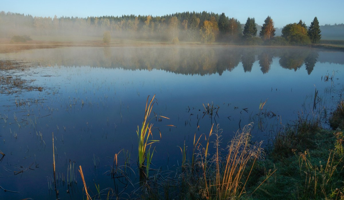 Ein stiller See im Naturschutzgebiet Weiherwiesen, umgeben von Bäumen und Gräsern. Der Morgennebel schwebt über dem Wasser., © Gemeinde Essingen Ein stiller See im Naturschutzgebiet Weiherwiesen, umgeben von Bäumen und Gräsern. Der Morgennebel schwebt über dem Wasser., © Gemeinde Essingen