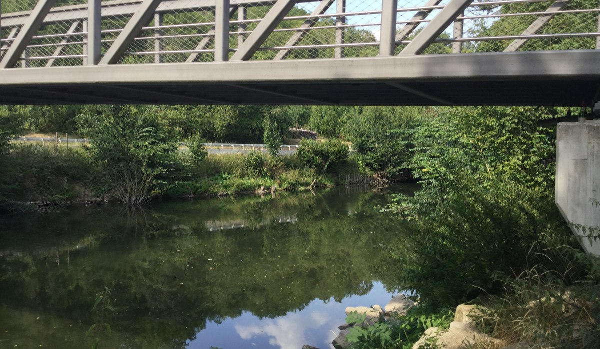 Eine moderne Brücke überspannt einen ruhigen Fluss, umgeben von dichter Vegetation und Bäumen., © Herde