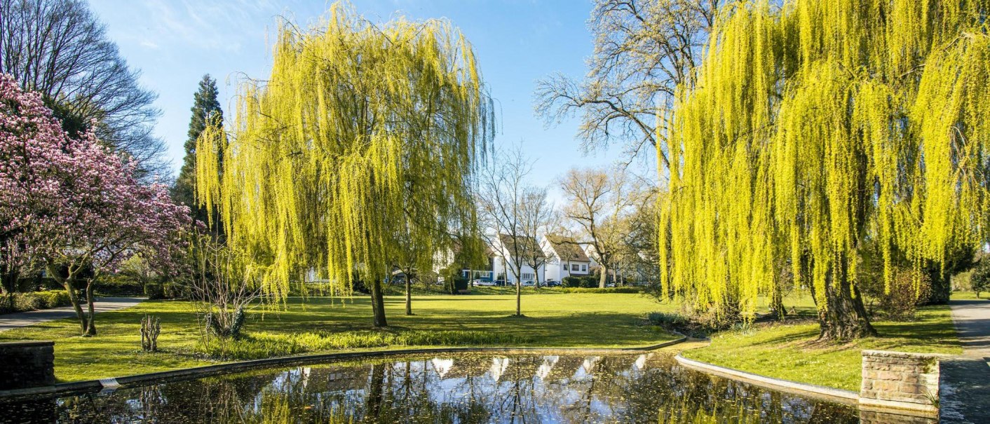Ein idyllischer Park mit blühenden Bäumen und einem kleinen Teich. Die Bäume spiegeln sich im Wasser und der Himmel ist klar und blau., © SMG, Sarah Schmid Ein idyllischer Park mit blühenden Bäumen und einem kleinen Teich. Die Bäume spiegeln sich im Wasser und der Himmel ist klar und blau., © SMG, Sarah Schmid