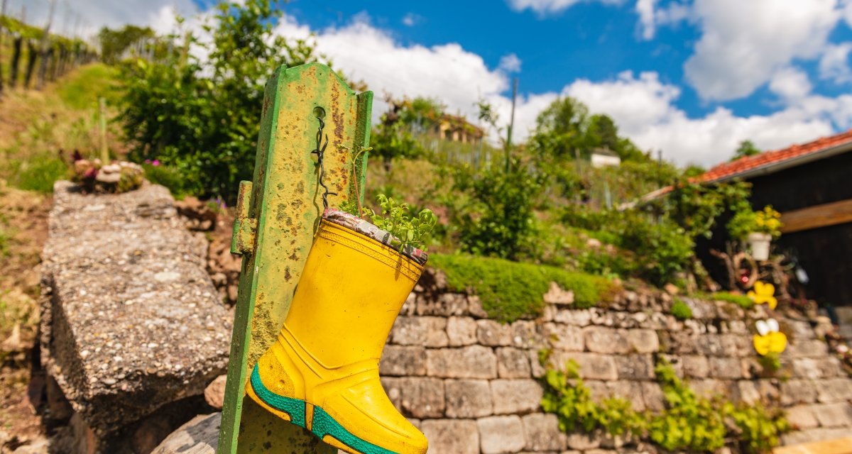 Ein gelber Gummistiefel dient als Pflanzgef&auml;&szlig; an einem gr&uuml;nen Pfosten. Im Hintergrund sind Weinberge und eine Steinmauer zu sehen, unter blauem Himmel., &copy; Stadtverwaltung Schorndorf