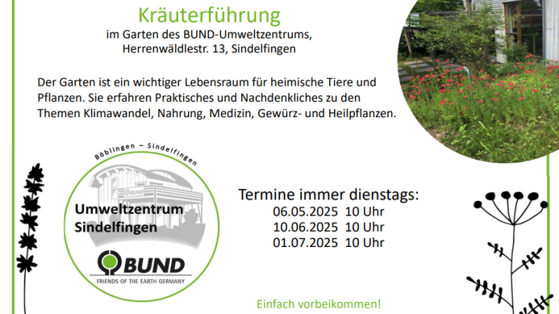 Kräuterführung, © BUND-UMWELTZENTRUM