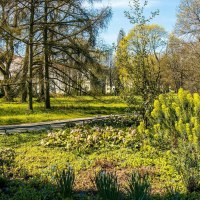 Fr&uuml;hlingsszene im Salamander Park Kornwestheim mit bl&uuml;henden Pflanzen und B&auml;umen entlang eines Spazierwegs., &copy; Stuttgart-Marketing GmbH, Sarah Schmid