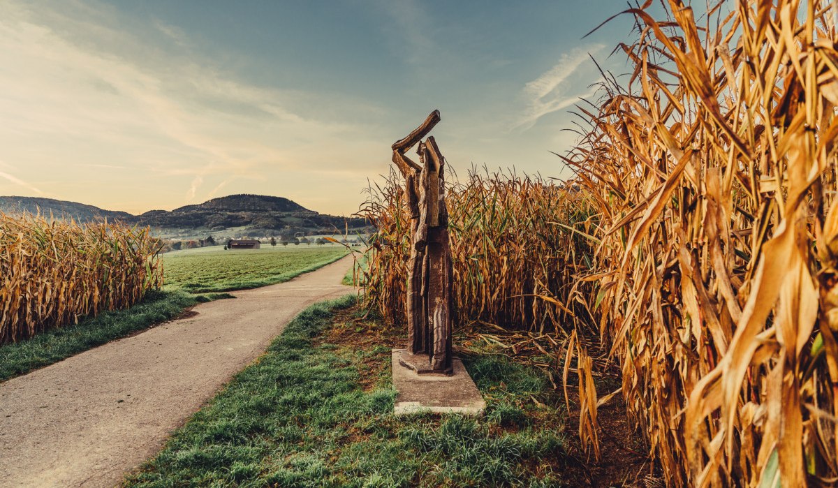 Ein Weg führt durch ein Maisfeld, daneben steht eine abstrakte Holzskulptur. Im Hintergrund sind Hügel und ein klarer Himmel zu sehen., © Landratsamt Ostalbkreis