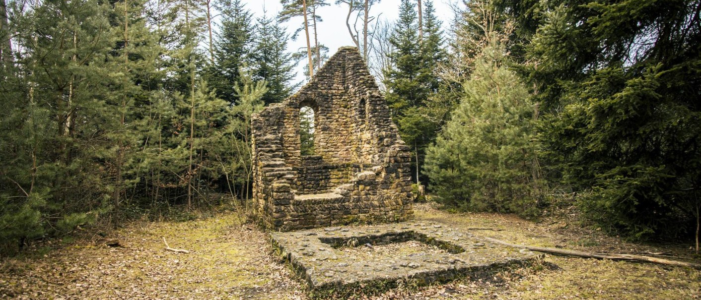 Ruine eines alten Wachturms im Wald, umgeben von hohen Bäumen. Der Turm besteht aus groben Steinen und zeigt ein Fenster., © SMG, Sarah Schmid Ruine eines alten Wachturms im Wald, umgeben von hohen Bäumen. Der Turm besteht aus groben Steinen und zeigt ein Fenster., © SMG, Sarah Schmid