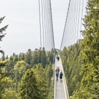 Die WILDLINE H&auml;ngebr&uuml;cke spannt sich &uuml;ber einen Wald, mit Menschen, die darauf spazieren gehen. Umgeben von hohen B&auml;umen und gr&uuml;nem Laub., &copy; Stuttgart-Marketing GmbH, Sarah Schmid