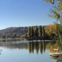 Der Max-Eyth-See mit ruhigem Wasser, umgeben von Bäumen. Ein Bootssteg und Boote sind am rechten Bildrand zu sehen., © Stuttgart-Marketing GmbH