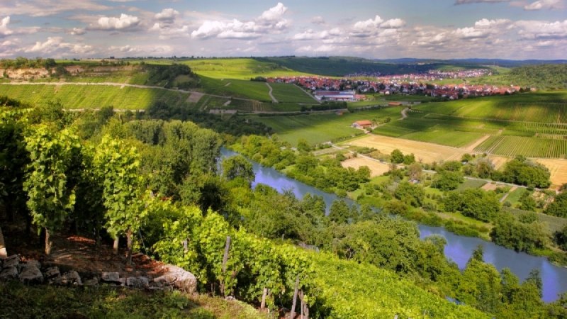 Weinberge in Hessigheim mit Blick auf einen Fluss und ein Dorf im Hintergrund. Die Landschaft ist grün und hügelig unter einem bewölkten Himmel., © Felsengartenkellerei Besigheim eG Weinberge in Hessigheim mit Blick auf einen Fluss und ein Dorf im Hintergrund. Die Landschaft ist grün und hügelig unter einem bewölkten Himmel., © Felsengartenkellerei Besigheim eG