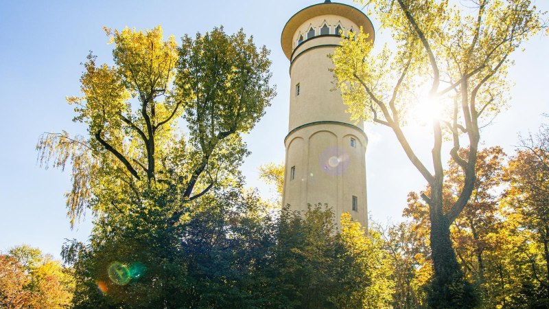 Der Engelbergturm in Leonberg ragt zwischen herbstlich gef&auml;rbten B&auml;umen empor, w&auml;hrend die Sonne durch die Bl&auml;tter scheint., &copy; Stuttgart-Marketing GmbH, Sarah Schmid