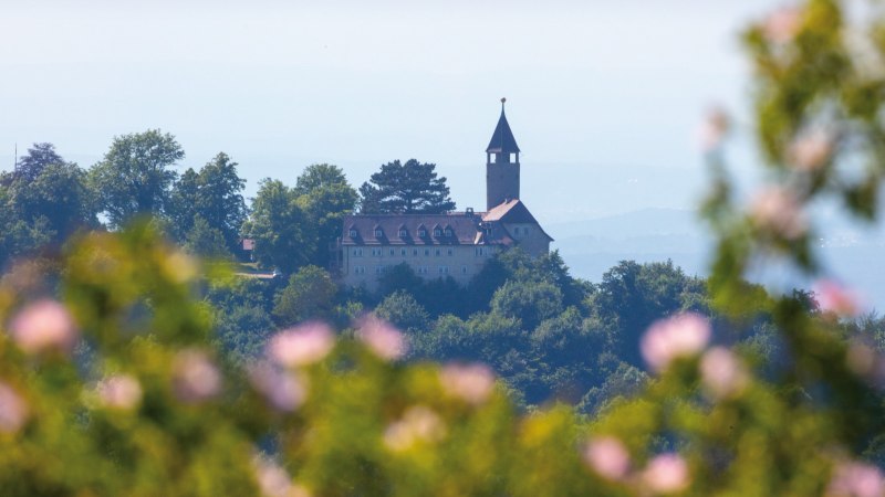 Burg Teck thront auf einem bewaldeten H&uuml;gel, umgeben von gr&uuml;nen B&auml;umen. Unscharfe Blumen im Vordergrund rahmen die Szene ein., &copy; SMG Achim Mende