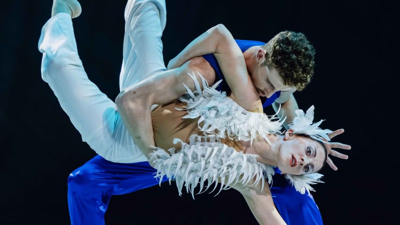 Szene aus "Schwanensee", © Foto: Andrea D'Aquino Szene aus "Schwanensee", © Foto: Andrea D'Aquino