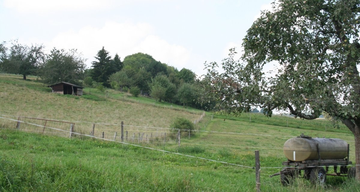 Grüne Wiese mit einem Baum und einem Wasserfass auf Rädern. Im Hintergrund ein kleiner Schuppen und Bäume., © Natur.Nah. Schönbuch & Heckengäu Grüne Wiese mit einem Baum und einem Wasserfass auf Rädern. Im Hintergrund ein kleiner Schuppen und Bäume., © Natur.Nah. Schönbuch & Heckengäu