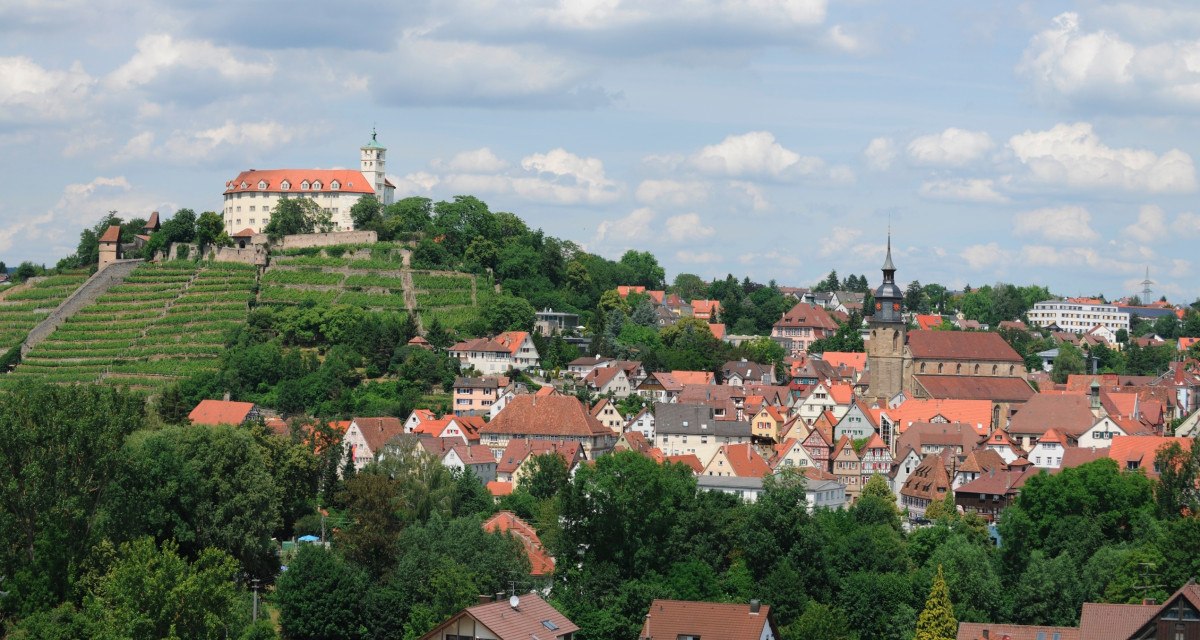 Schloss Kaltenstein thront über Vaihingen an der Enz, umgeben von Weinbergen und historischen Gebäuden. Der Himmel ist leicht bewölkt., © Stadt Vaihingen an der Enz