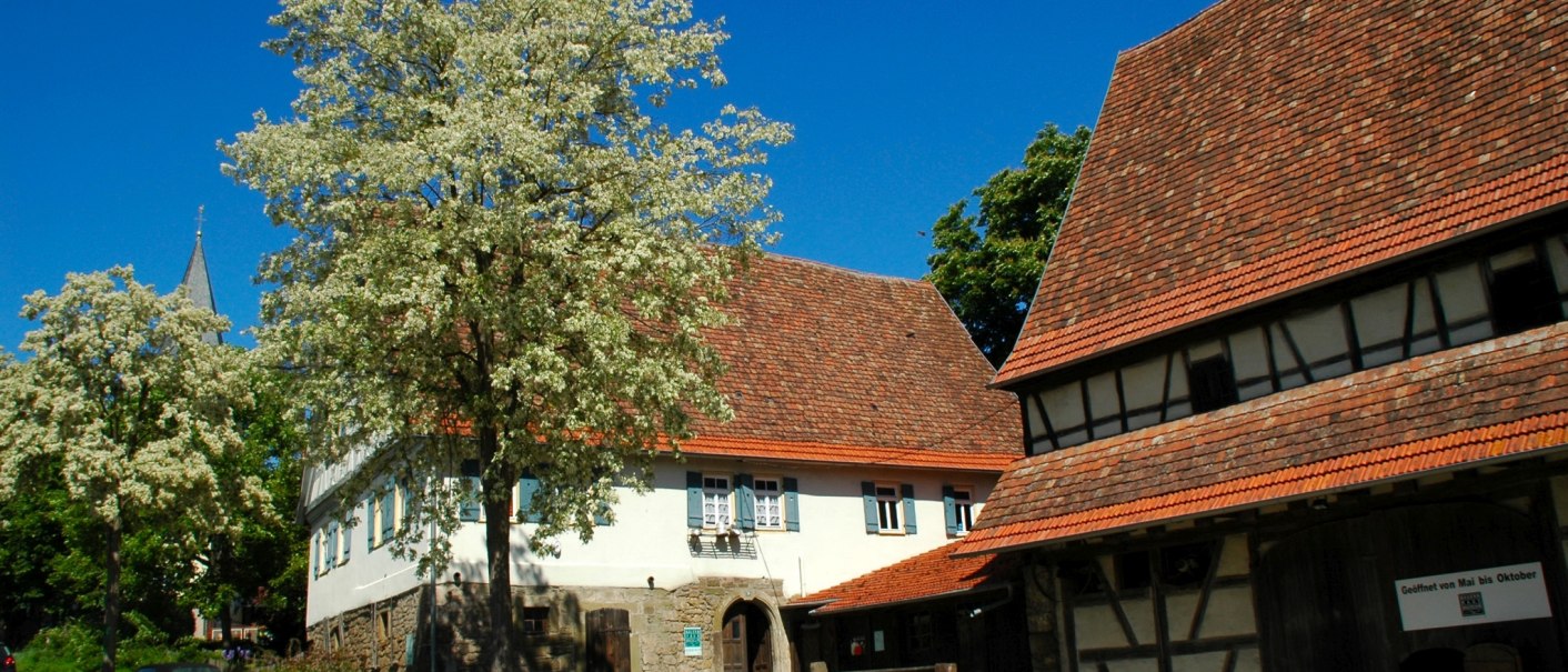 Ein traditionelles Bauernhausmuseum mit Fachwerkgebäude, blühenden Bäumen und blauem Himmel. Ein Schild zeigt Öffnungszeiten an., © Stadt Leonberg