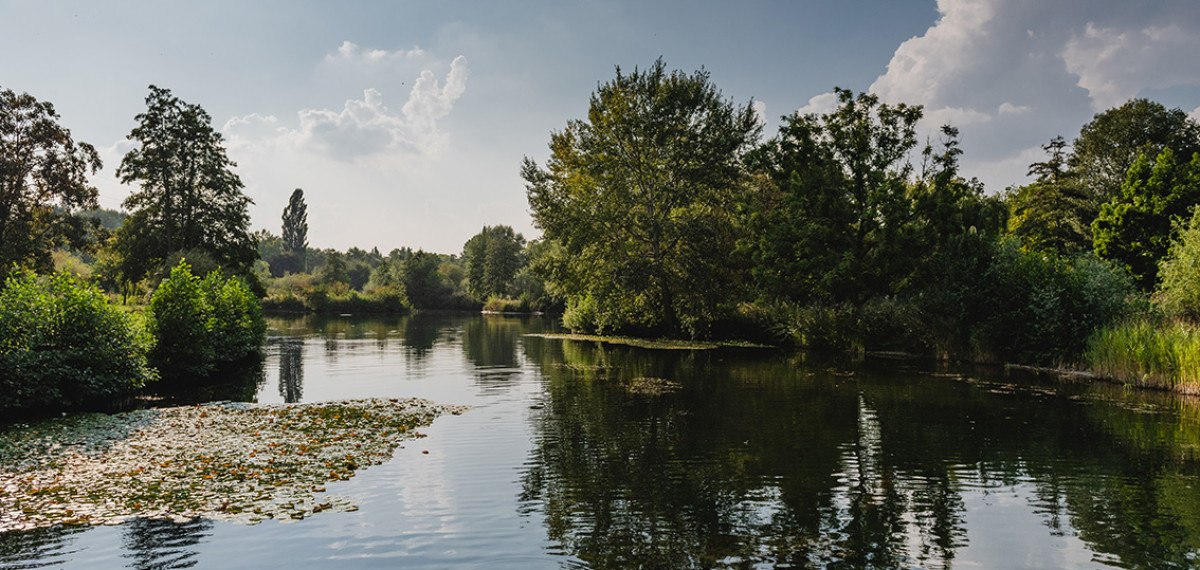Ein ruhiger Fluss mit Seerosen, umgeben von üppigen Bäumen und bewölktem Himmel in Waiblingen., © Unbekannt