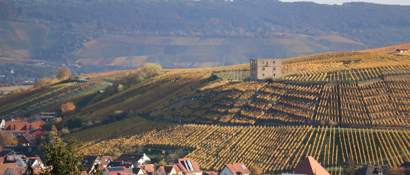 Herbstliche Weinberge bei Stetten mit der Yburg auf einem Hügel. Im Vordergrund ein Dorf mit roten Dächern, im Hintergrund bewaldete Hügel., © Remstal Tourismus e.V. Herbstliche Weinberge bei Stetten mit der Yburg auf einem Hügel. Im Vordergrund ein Dorf mit roten Dächern, im Hintergrund bewaldete Hügel., © Remstal Tourismus e.V.