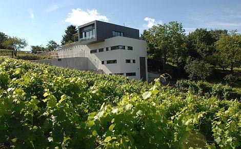 Neckarhaldenfest, © Stadt Esslingen am Neckar Neckarhaldenfest, © Stadt Esslingen am Neckar