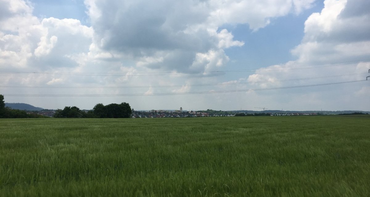 Weites grünes Feld mit Blick auf Gärtringen am Horizont. Der Himmel ist bewölkt, Stromleitungen verlaufen quer über das Bild., © www.pro-cycl.de Weites grünes Feld mit Blick auf Gärtringen am Horizont. Der Himmel ist bewölkt, Stromleitungen verlaufen quer über das Bild., © www.pro-cycl.de