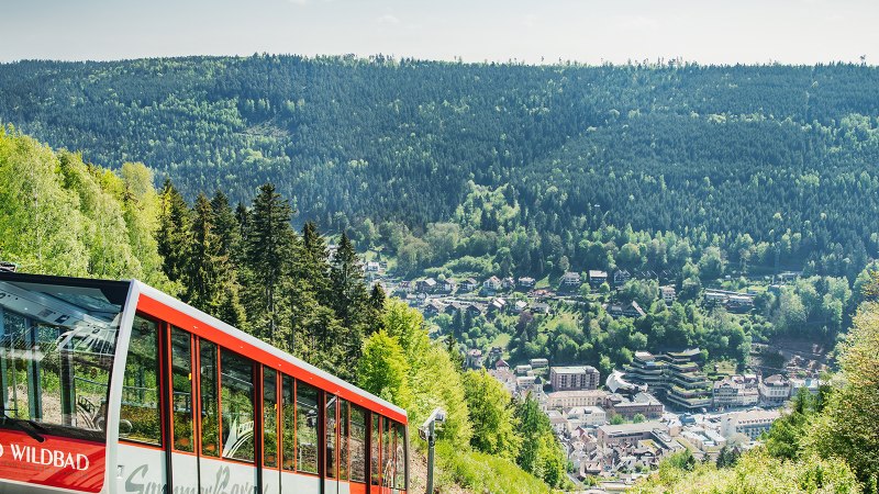Die Sommerbergbahn in Bad Wildbad fährt durch eine grüne Waldlandschaft. Im Hintergrund ist die Stadt und der dichte Schwarzwald zu sehen., © Touristik Bad Wildbad GmbH Die Sommerbergbahn in Bad Wildbad fährt durch eine grüne Waldlandschaft. Im Hintergrund ist die Stadt und der dichte Schwarzwald zu sehen., © Touristik Bad Wildbad GmbH